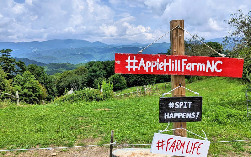 Apple Hill Farm Tours