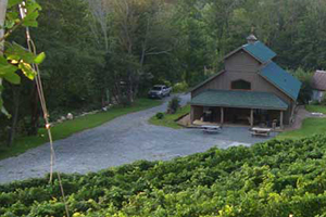 grandfather vineyard