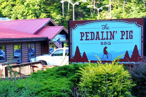 pedalin pig