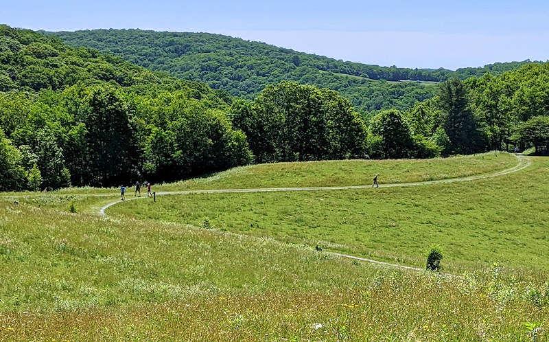 Richmond Mountain Trail