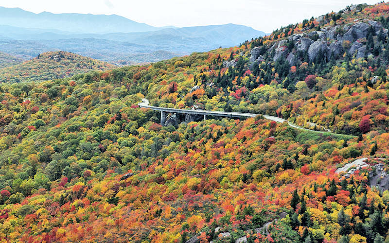 Blue Ridge Parkway Fall Color