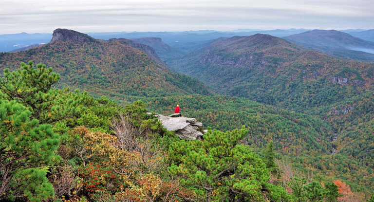 Hawksbill Mountain Hike - Near Sugar Mountain Nc