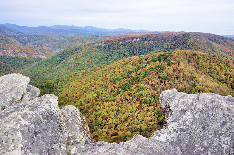 Hawksbill Mountain NC Summit