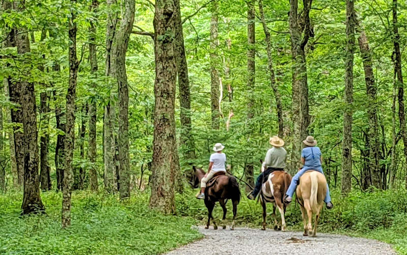 Horseback Riding Blue Ridge Parkway