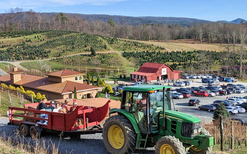 Linville Falls Winery Red Barn Christmas Tree Farm