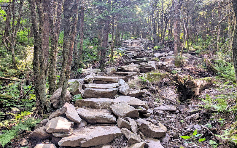 Profile Trail Stairs