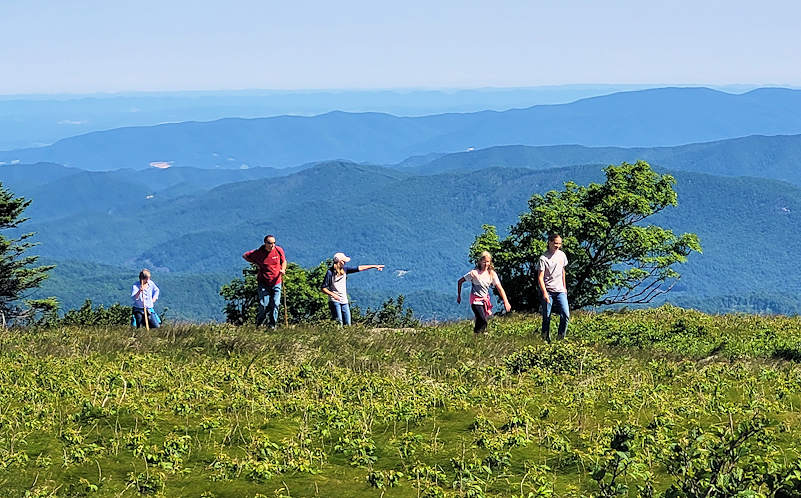 Roan Mountain Hike