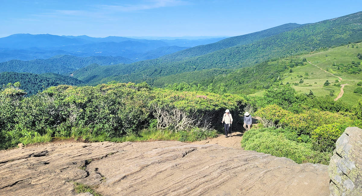 are dogs allowed in the roan highlands