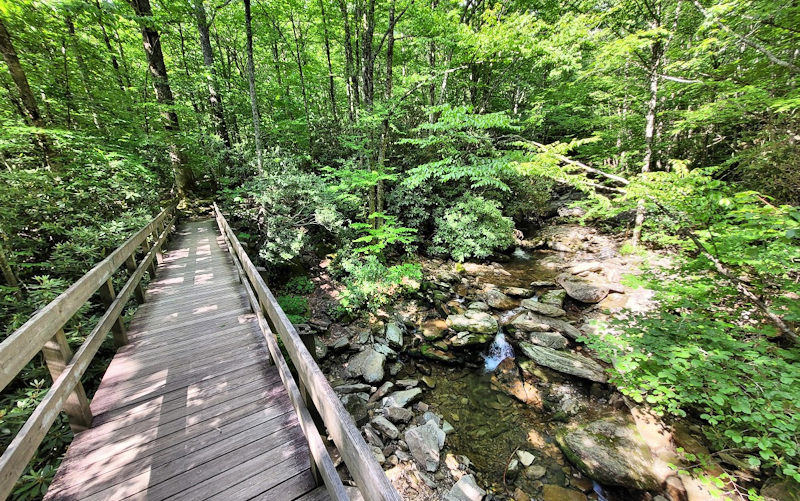 Tanawha Trail Bridge 