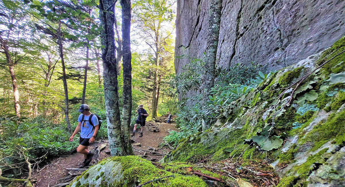 Profile Trail, Grandfather Mountain